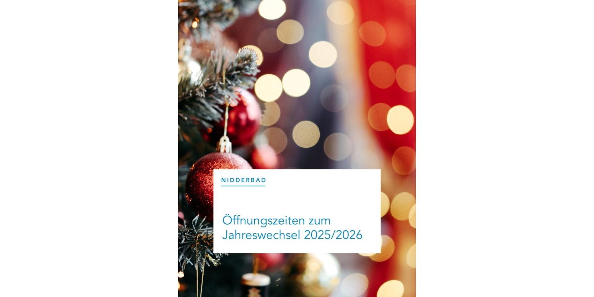 Weihnachtsbaum Nahaufnahme Zweig mit roter Kugel